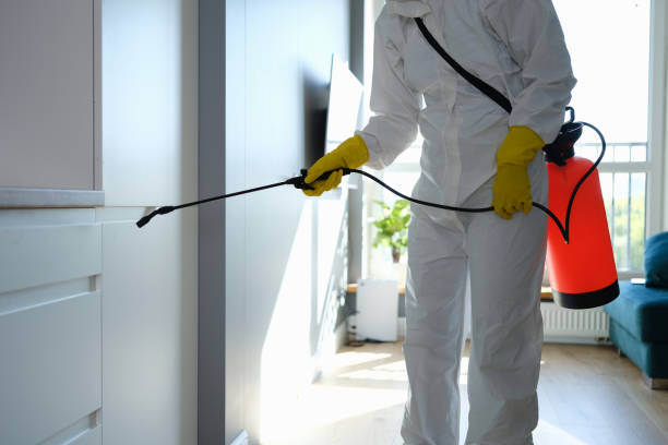 Environmental Consulting for Mold Prevention in Morgan Hill, PA